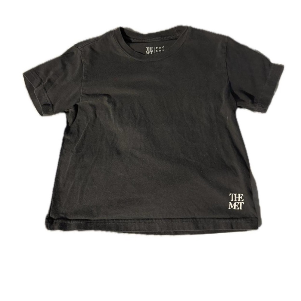 Dark Grey PacSun The Met Museum t-shirt